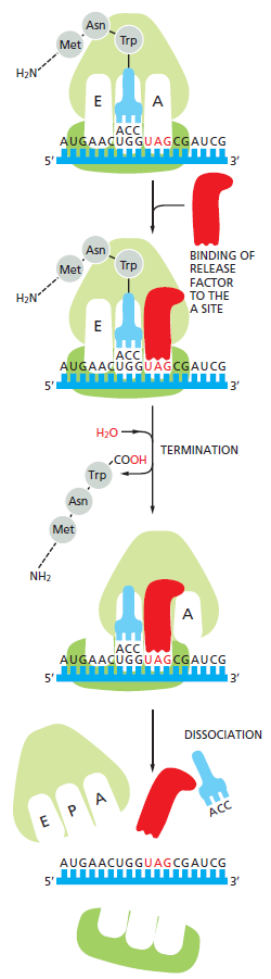 Figure 6-72.png